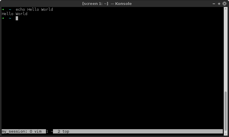 Learn to use screen, a terminal multiplexer | Thibaut Rousseau's Blog